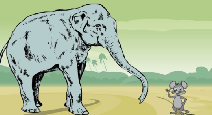 The Little Mice and the Big Elephants